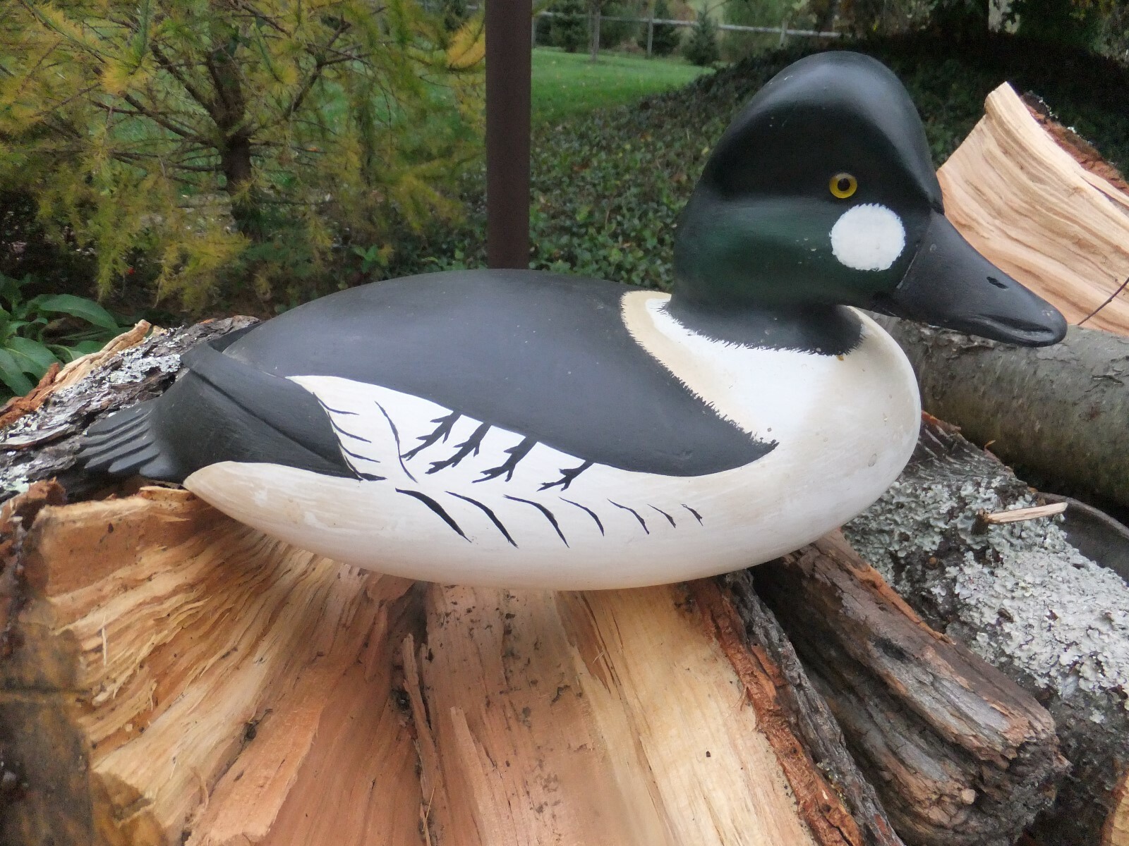 show winner M Johnson- Prime  Decoys – Common Goldeneye Drake – New Jersey style