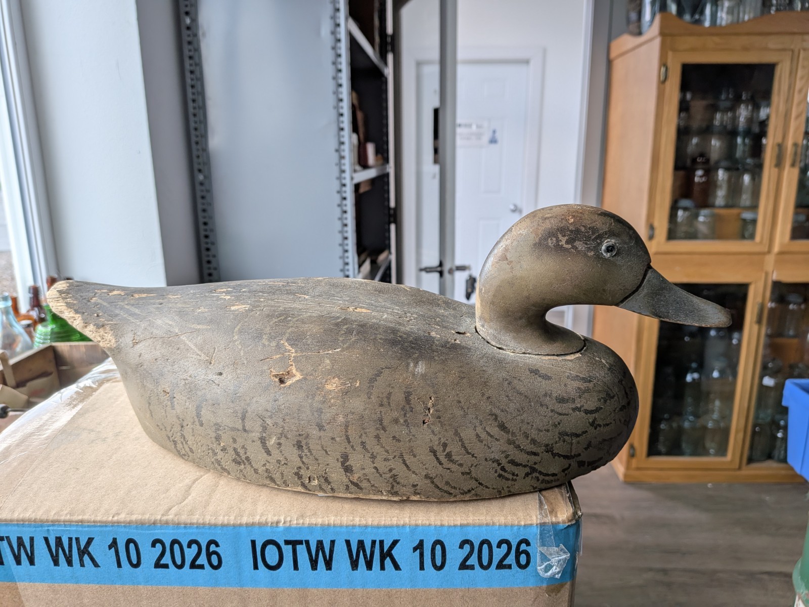 Stamped Wildfowler Old Saybrook Hen Pintail Duck Decoy
