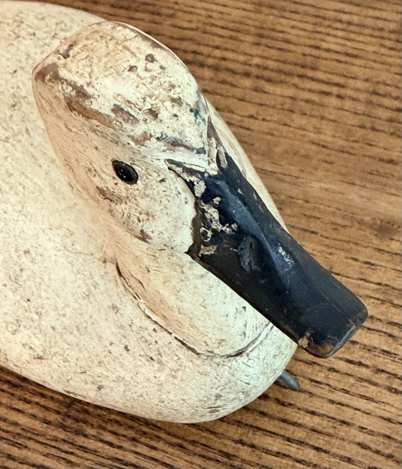 Vtg Back Bay Decoy B.B.D. Small Canvasback-Glass Eyes & Original Paint-Signed