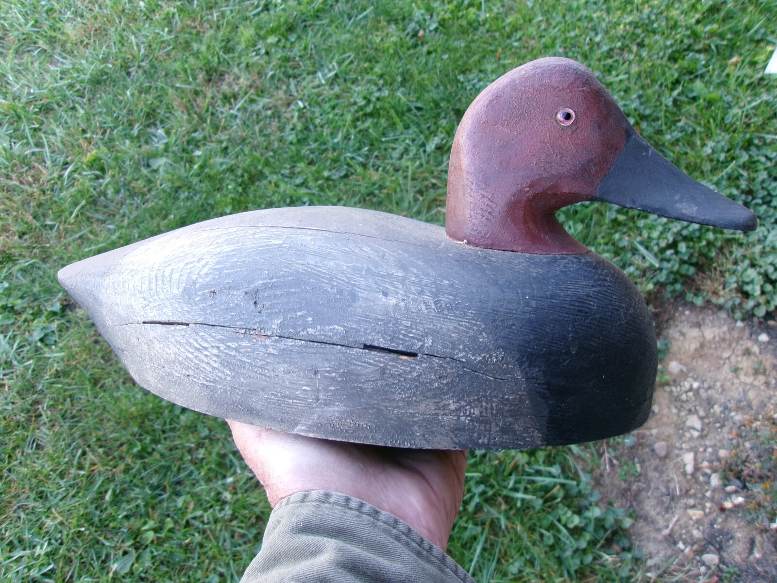 VINTAGE CANVASBACK DUCK DECOY W/ GLASS EYES
