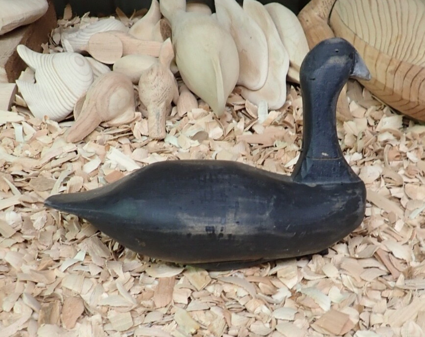 2018 Coot Decoy by Elkton Maryland Carver Joe Racine