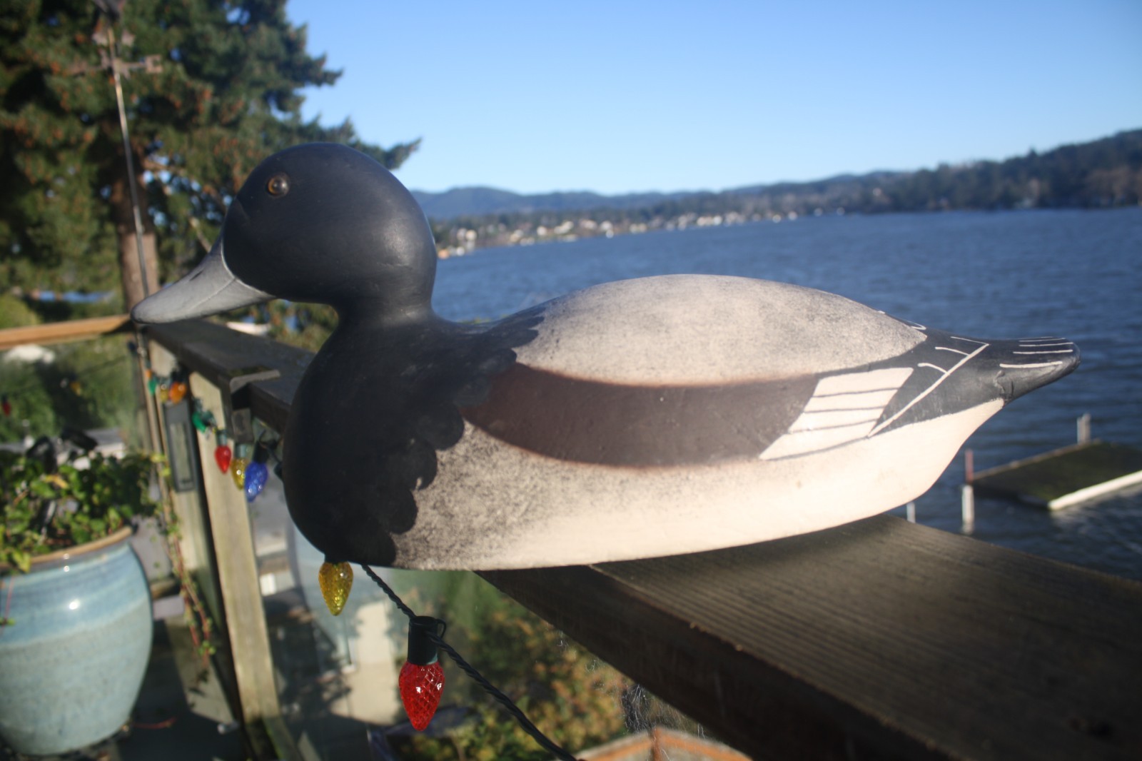 Bluebill Drake decoy by unknown, OP, solid wood, glass eyes.