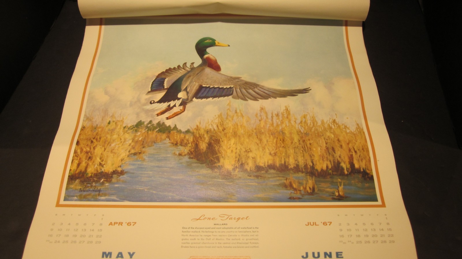 RICHARD BISHOP DUCK GOOSE HUNTING CALENDAR 1967 MC LAIN DOCK PORT JEFFERSON NY