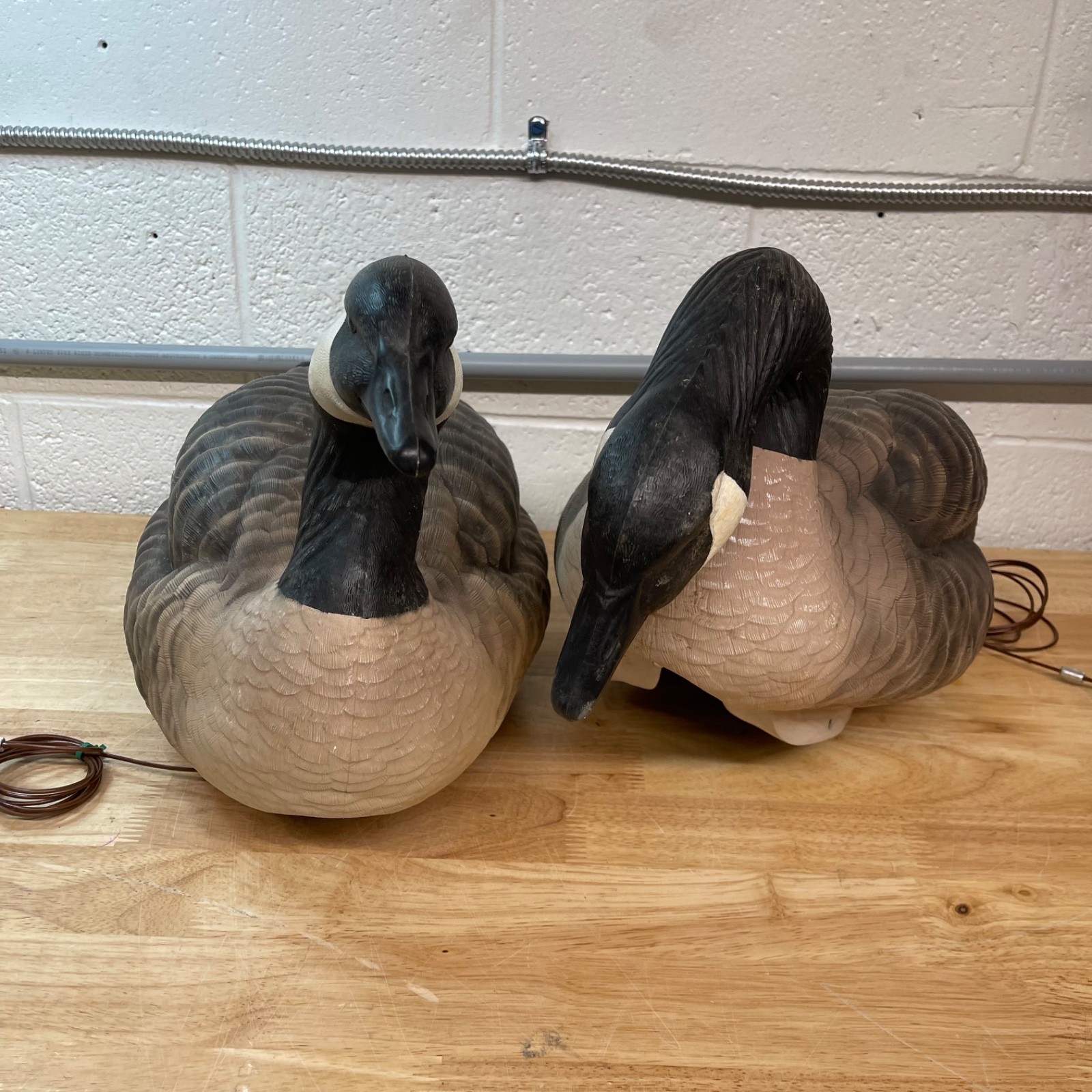 Lifetime Decoys Canadian Geese Hydrofoam Decoys