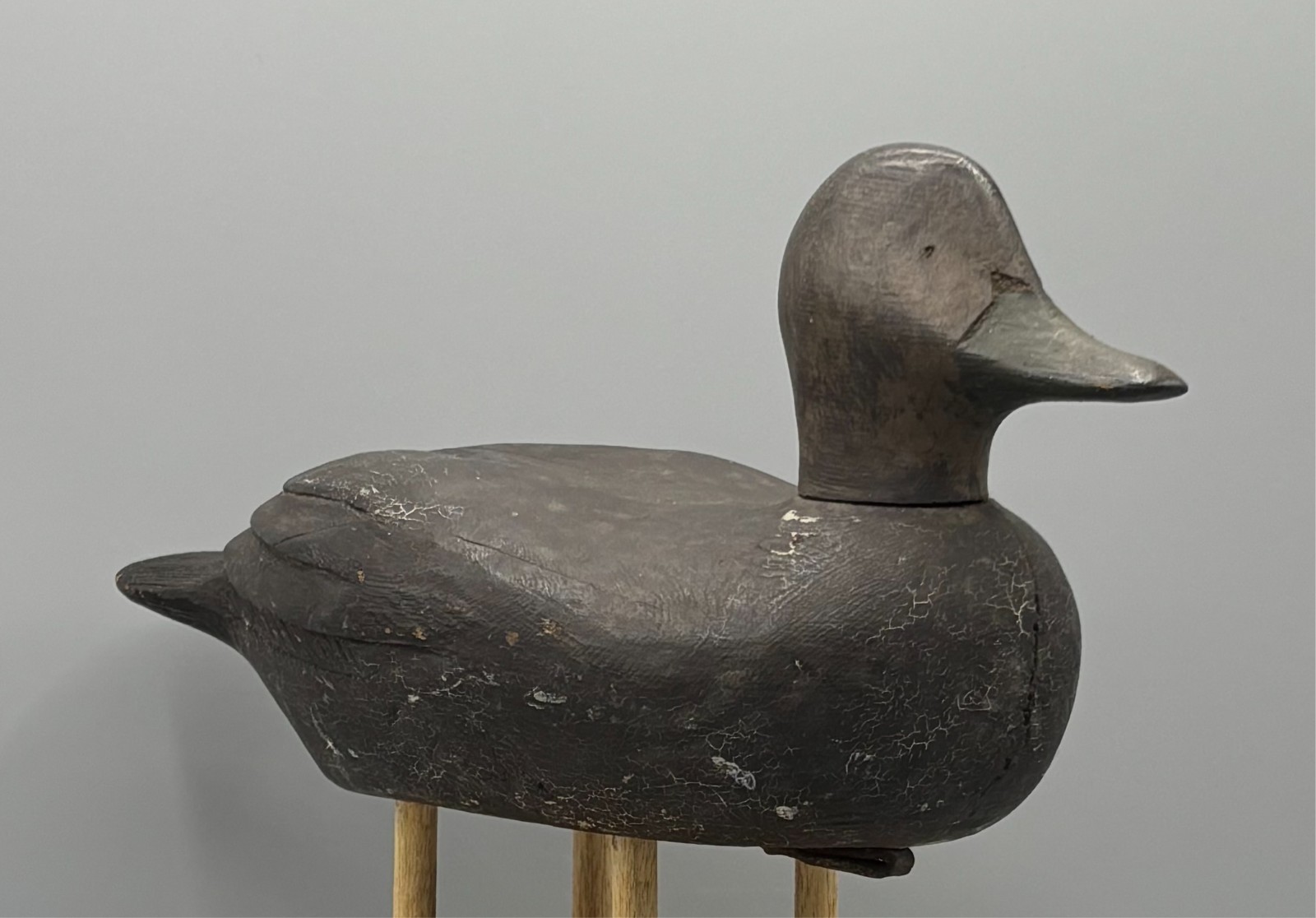 *QUEBEC* ORIGINAL PAINT BLACK DUCK VINTAGE DECOY DUCK *RAISED WING & FTHR CARVNG