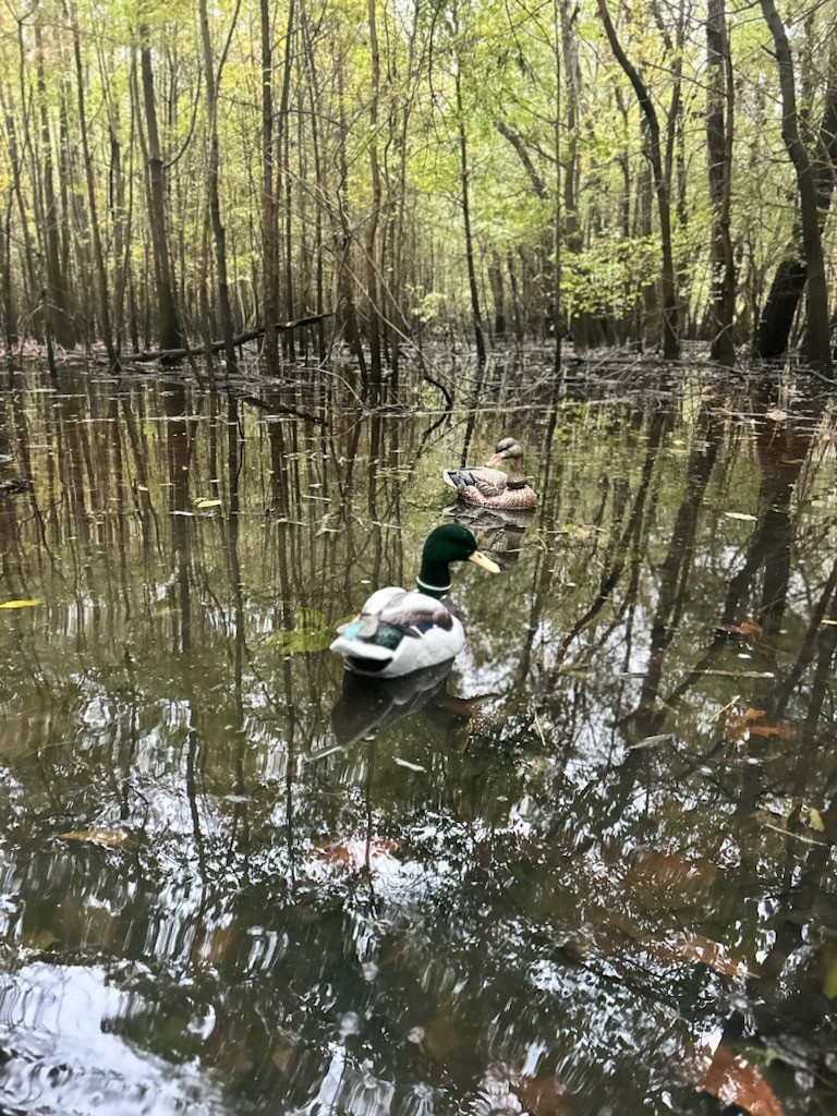 Fowl Fusion Duck Decoy