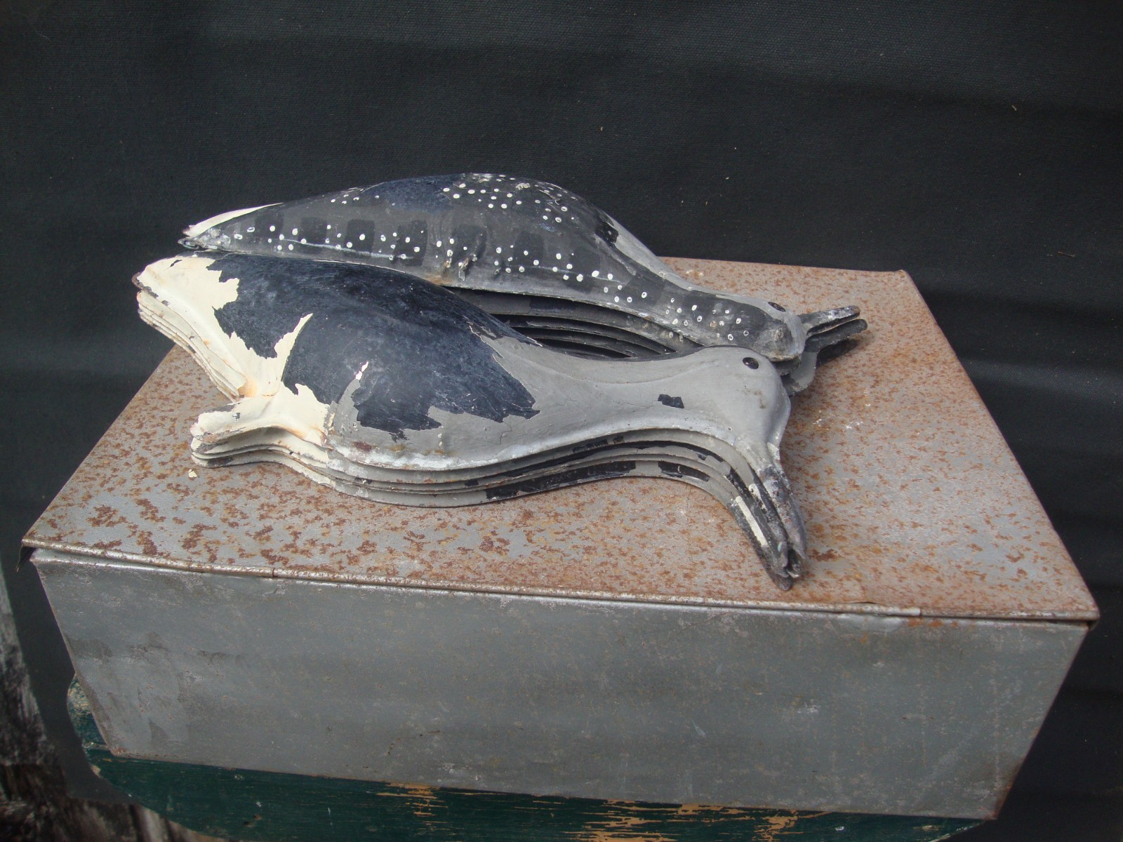 ANTIQUE TINNIE SHOREBIRD DECOYS FACTORY LURES WITH BOX