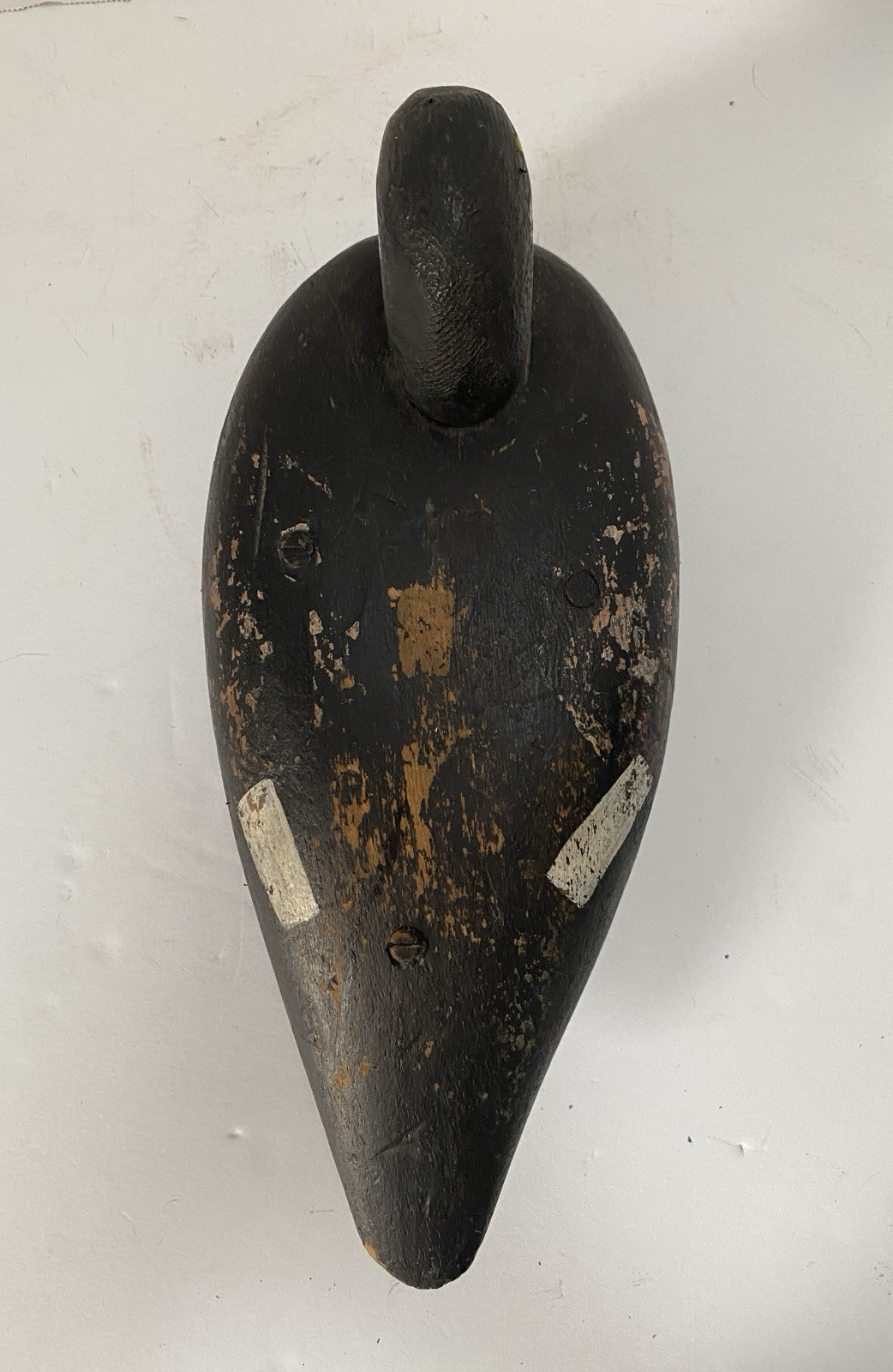 White-winged Scoter Duck Decoy, Vintage, Wood, Nailed in Head Set, Unsigned