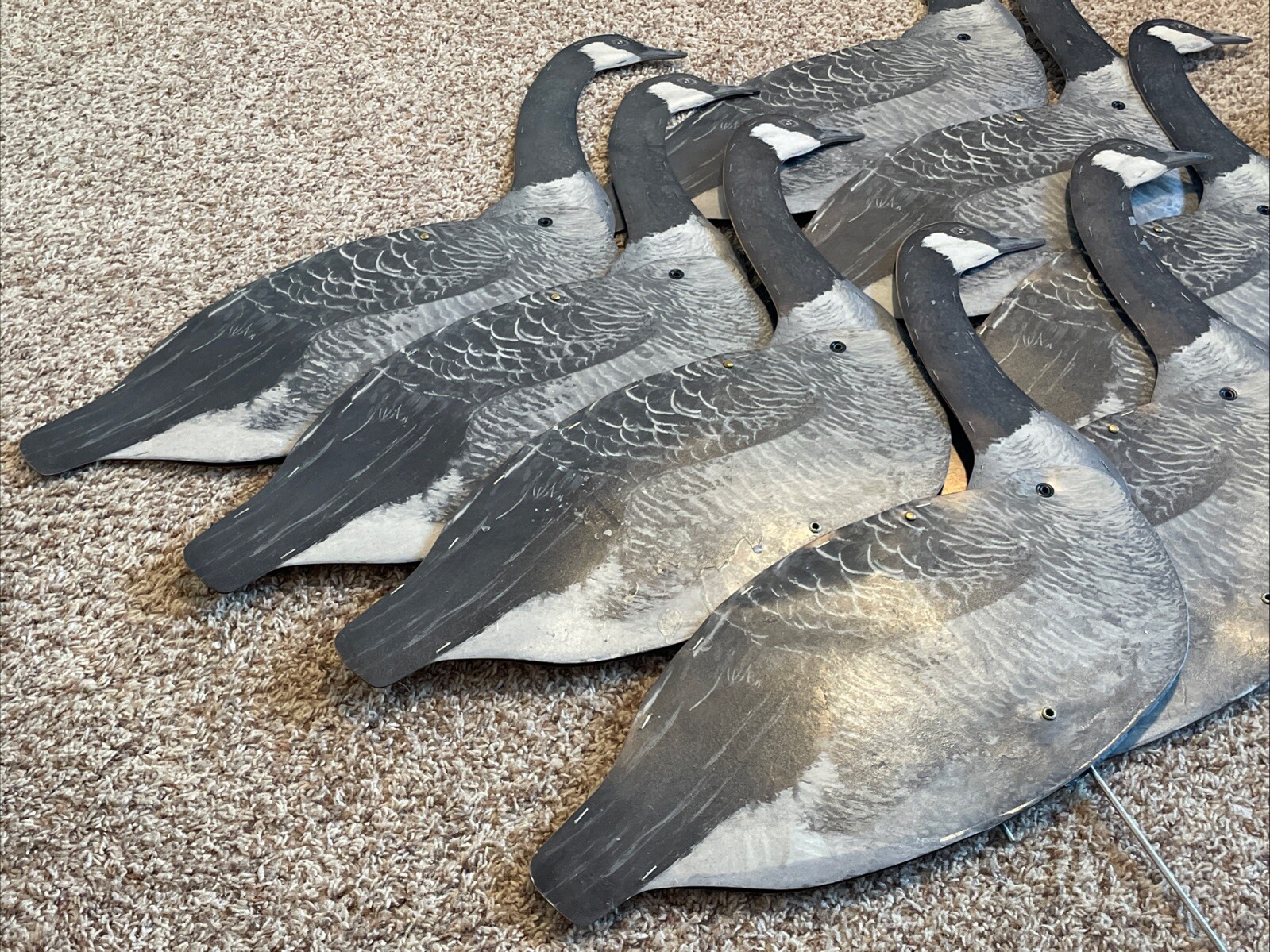 Vintage*Lot of 9 Carry Lite Canadian Goose Paper/Fiberboard Folding Decoy/Decoys