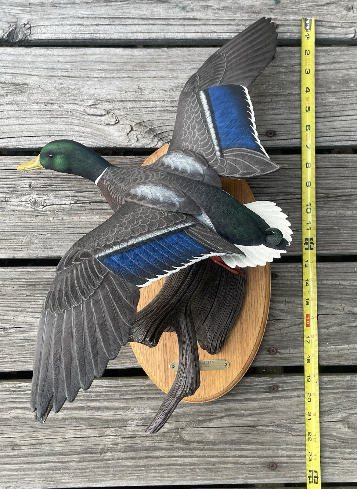 Duck Treetop Mallard Limited 61/450 By Philip J. Galatas Wall Mount