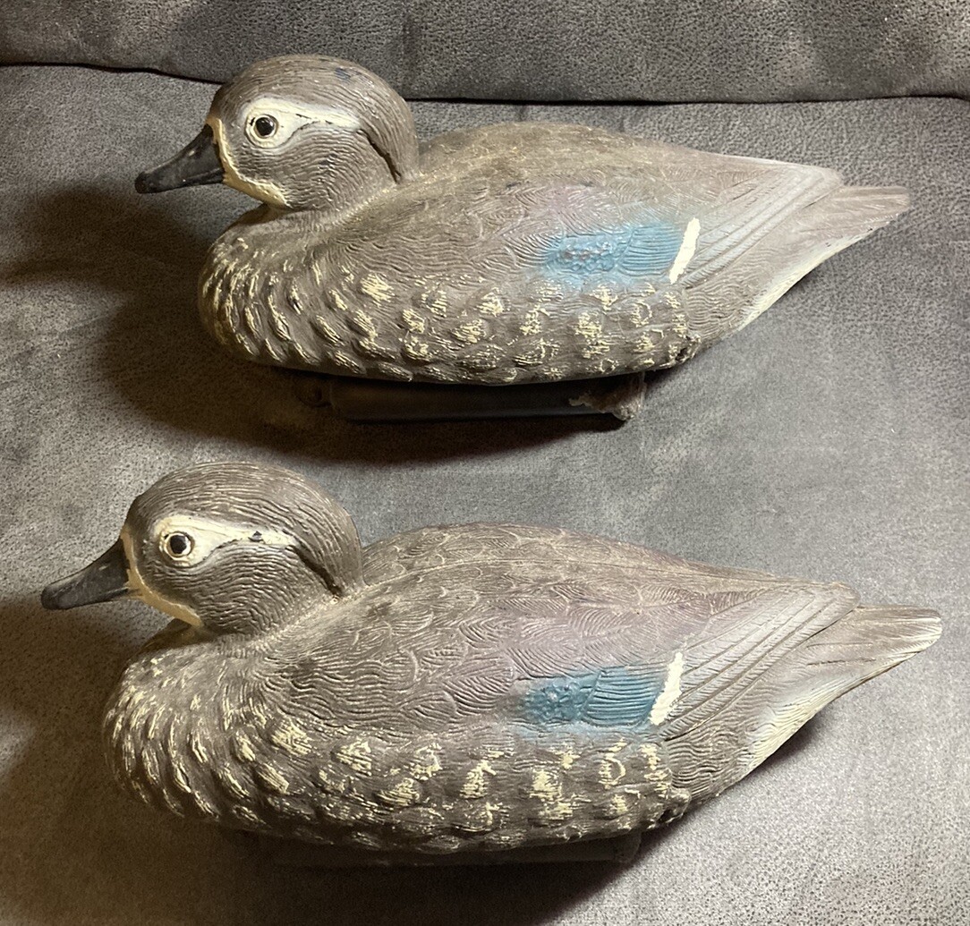 Vintage Carry-Lite Brevettato Blue-Wing Teal Duck Decoy- Italy – Hen – Lot Of 2