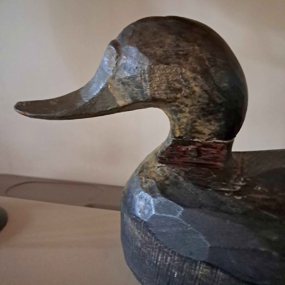 Antique Primitive Hand-Carved Black Duck Decoy (Circa 1920s-1940s) – Working Rig