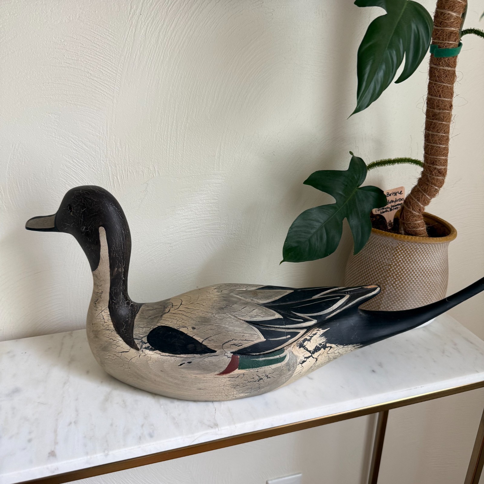Vintage Don Profota 24″ Life-Size Pintail Drake Decoy Big Sky Carvers Cabin