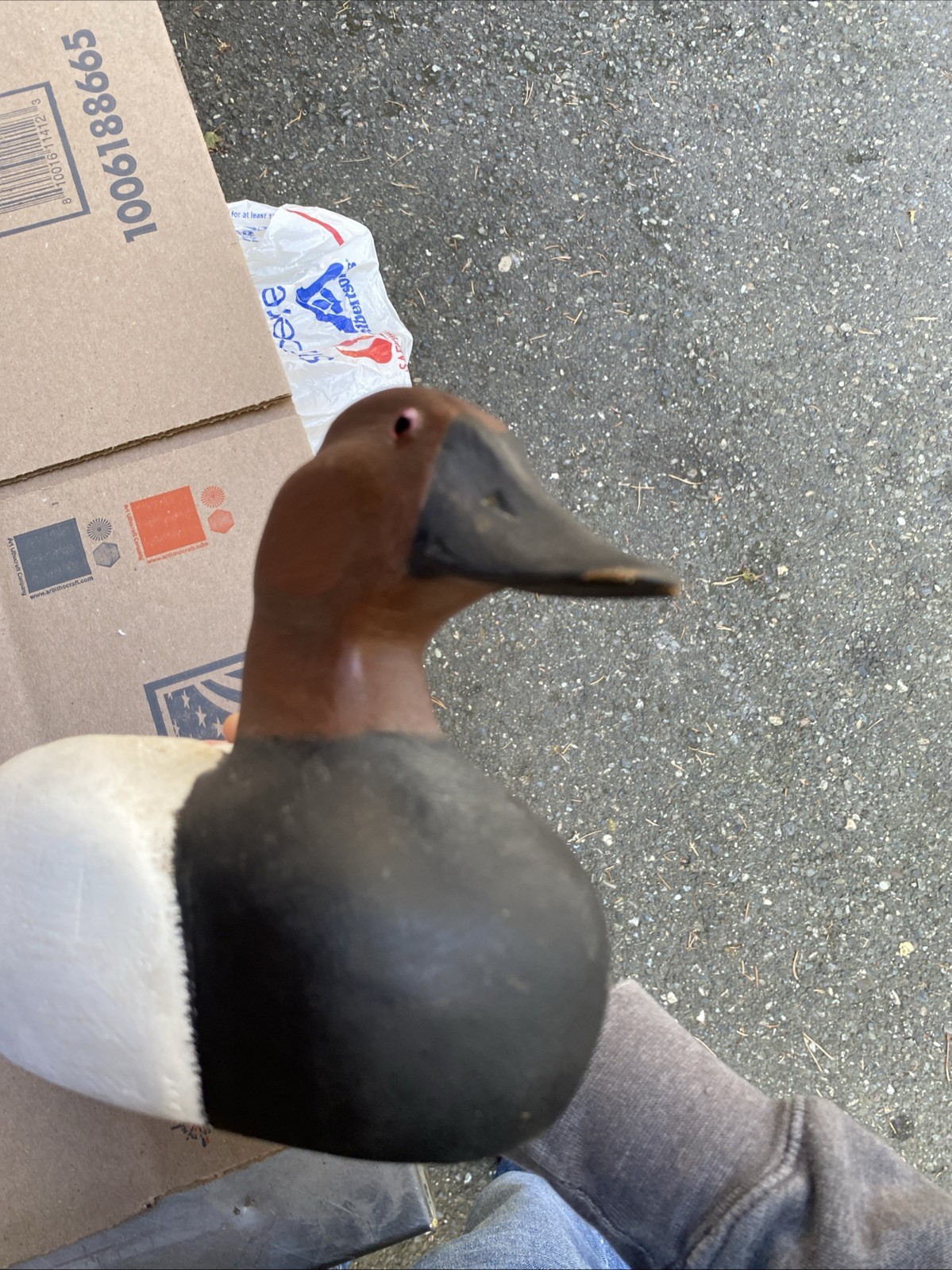D. E. Nelsen Canvasback Drake Carved Duck Decoy 1975 Signed Glass Eyes